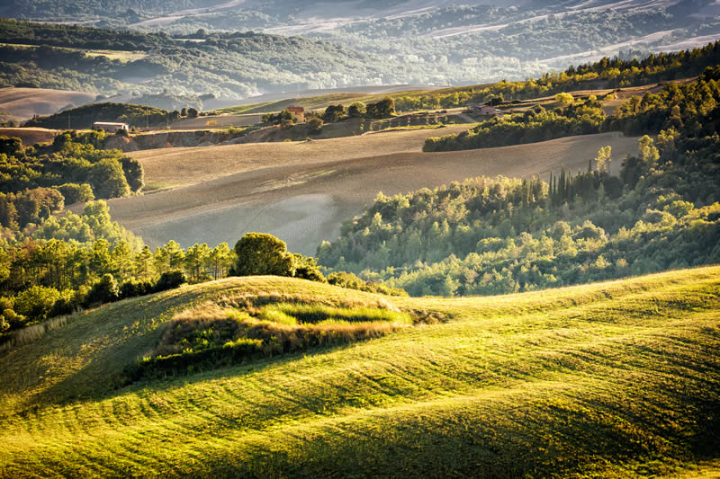 Dintorni di Firenze