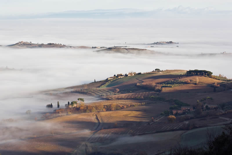 montepulciano
