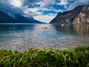 Il Lago di Garda