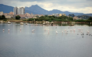 Olbia