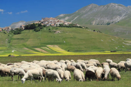 Tradizioni e eventi in Umbria