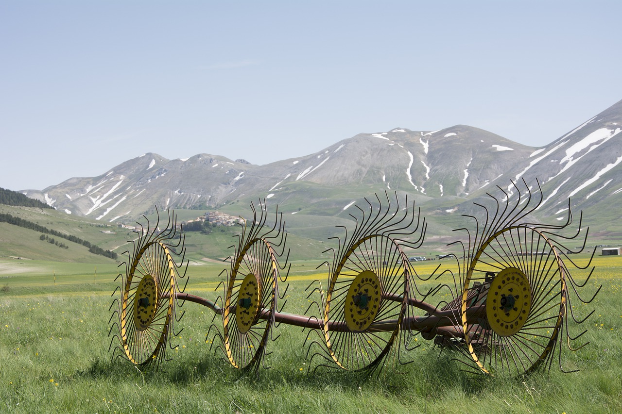 Fioriture di Castelluccio