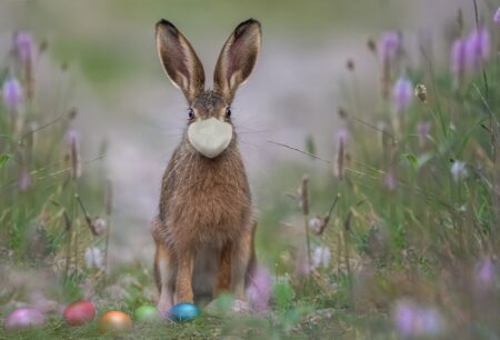 Pasqua in zona rossa