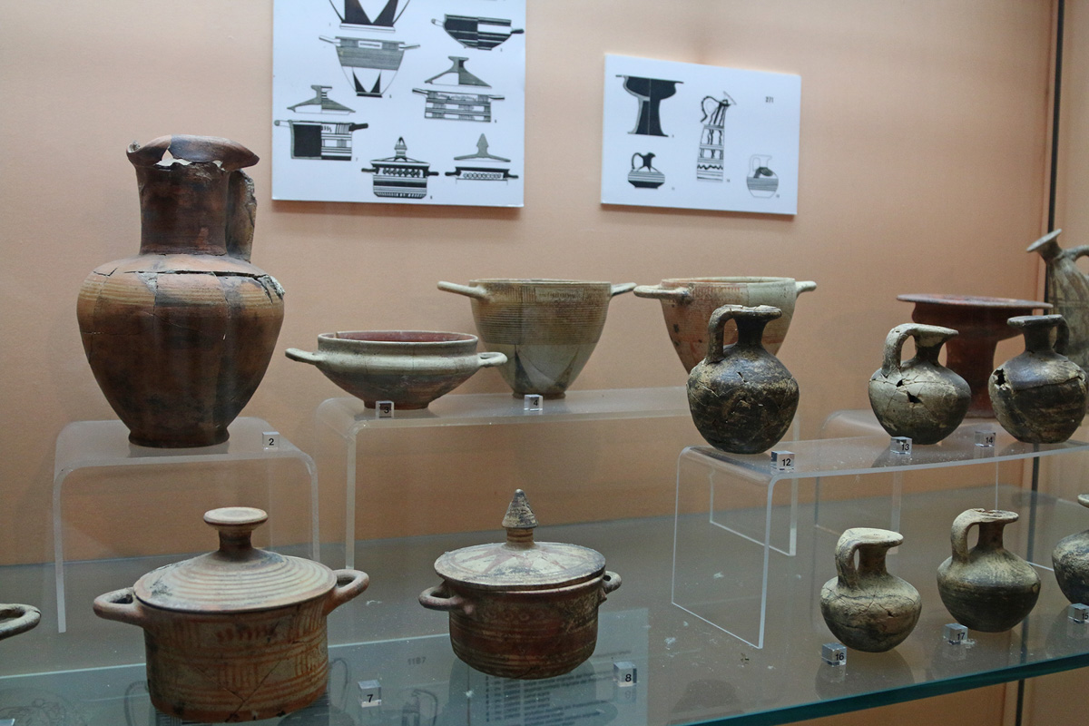 Museo di pithecusa