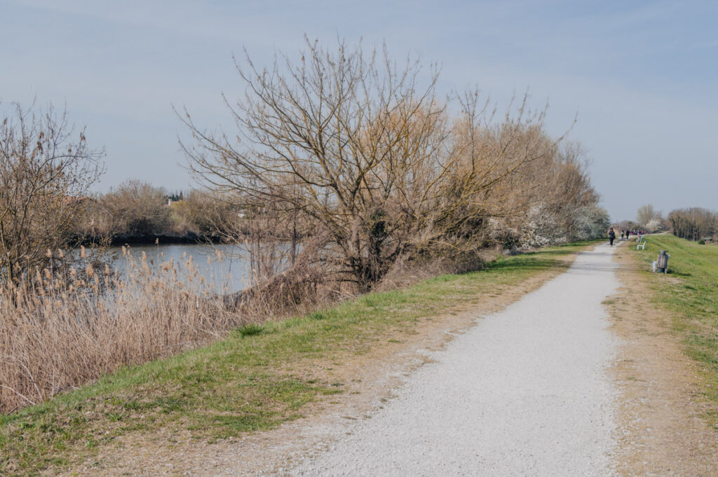 L'argine del Canal Bianco