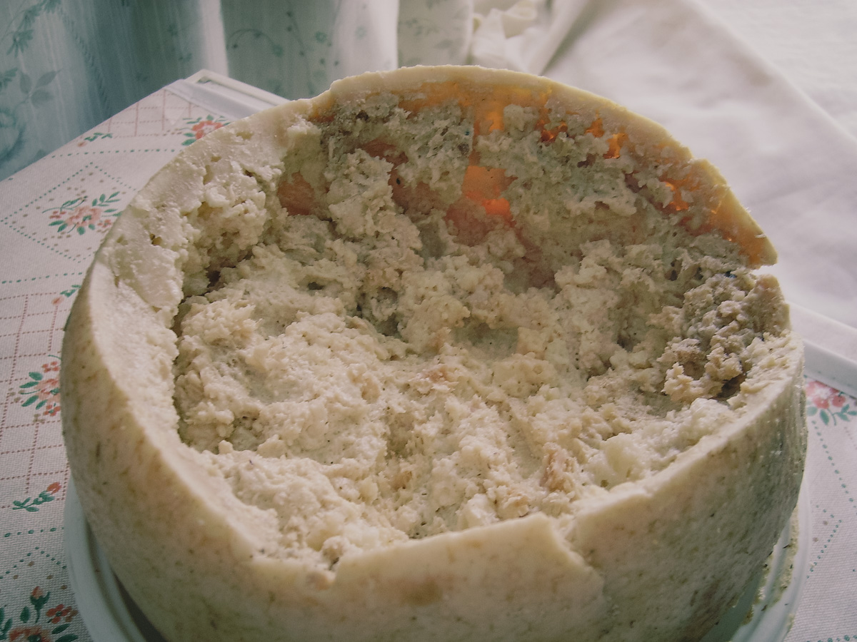 Cibi strani: Casu Marzu