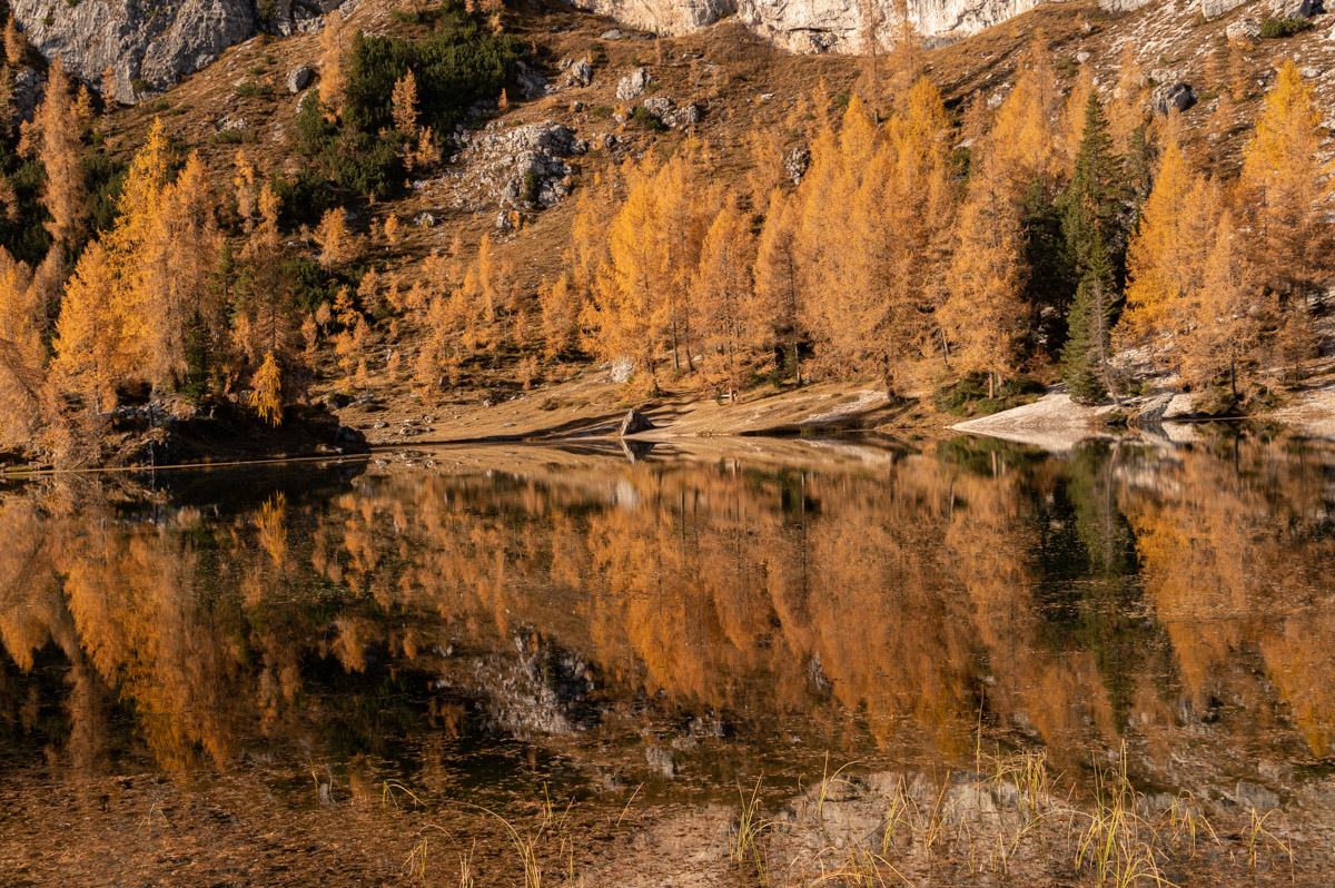 Foliage nelle Dolomiti: il lago di Federa
