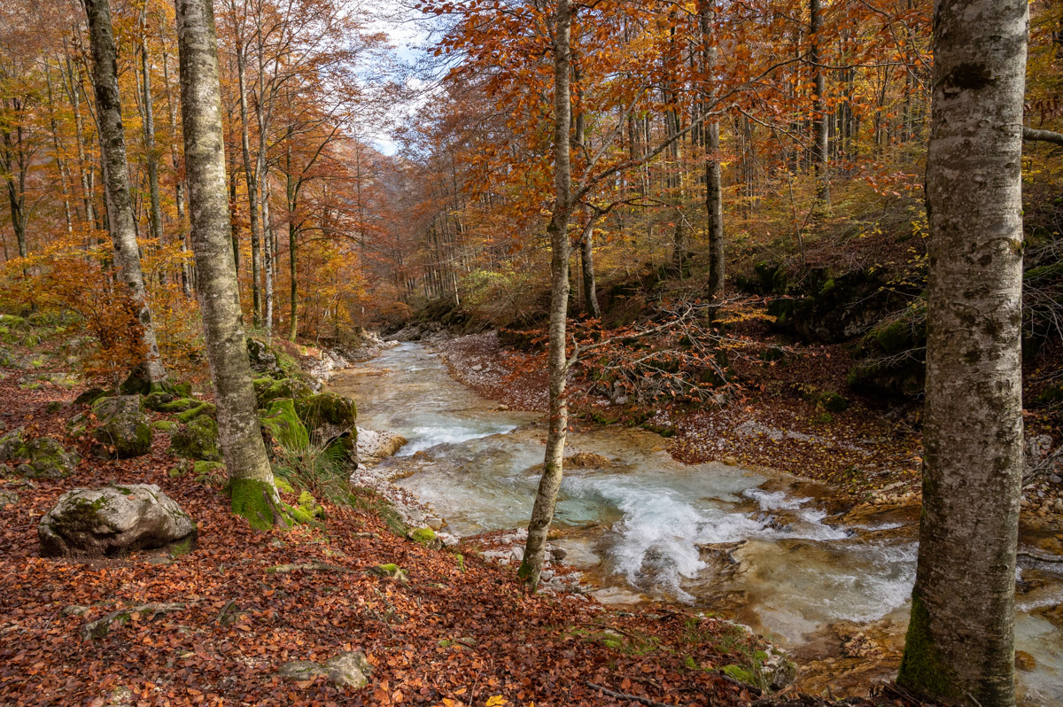 Foliage in Valle Arzino (Friuli Venezia Giulia)