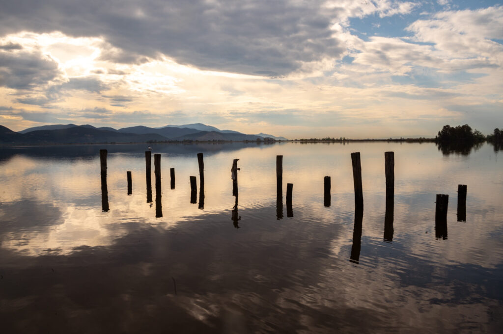 Lago di Massaciuccoli