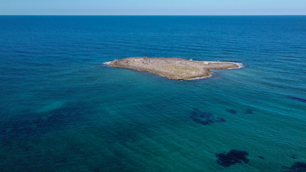 L'Isola di Pazze