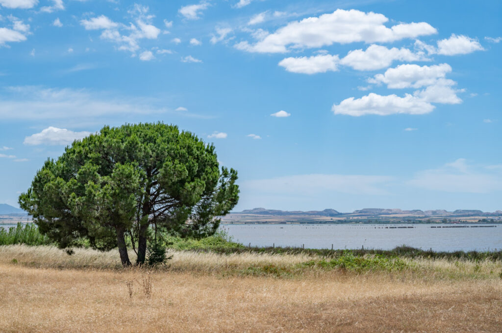 Lago di Lesina