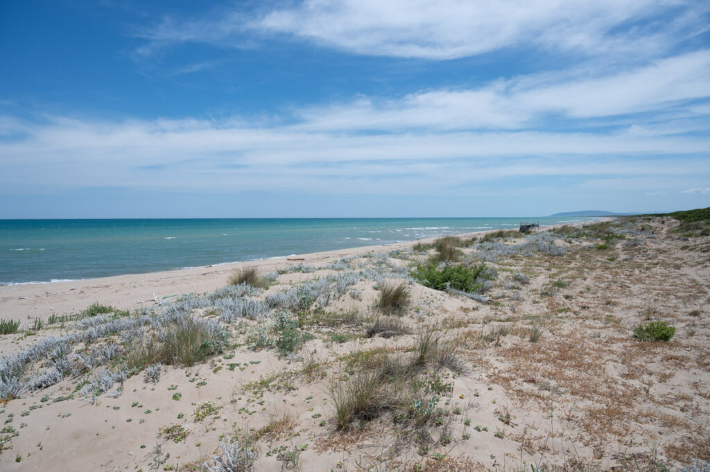 La spiaggia nella parte adriatica del Lago di Lesina