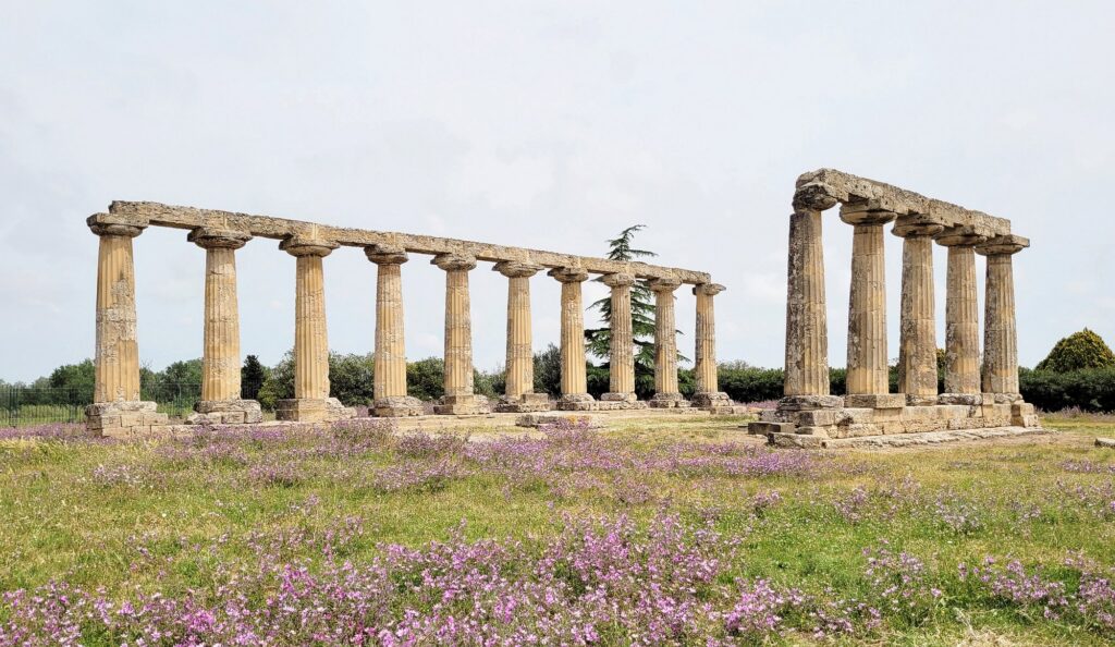 Le Tavole Palatine, le colonne del tempio di Hera a Metaponto, punto di partenza della Ciclovia della Magna Grecia