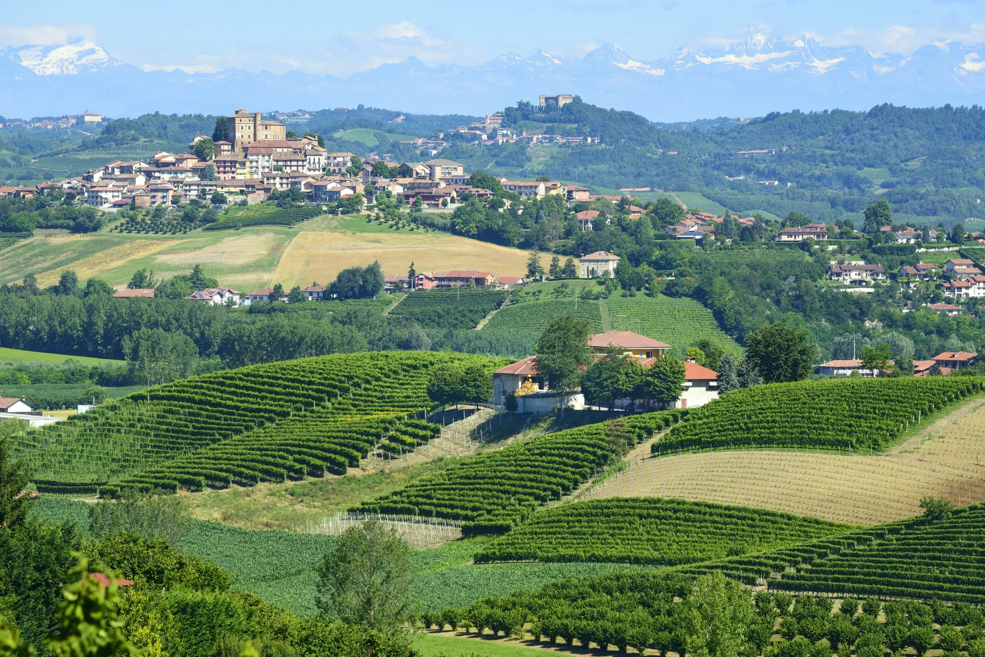 Le colline di vigneti delle Langhe con un borgo in cima