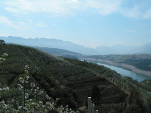 Mercatini e fiere d'autunno in Trentino Alto Adige a ottobre