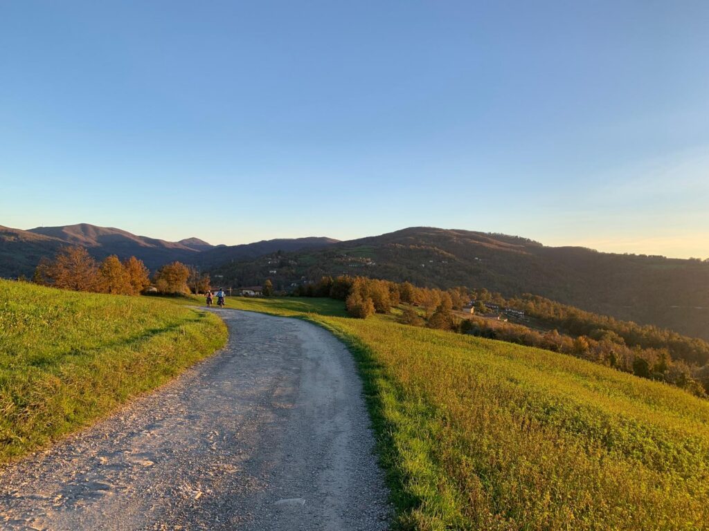Strada bianca tra i prati dorati dell'Appennino al tramonto, sulla Via degli Dei