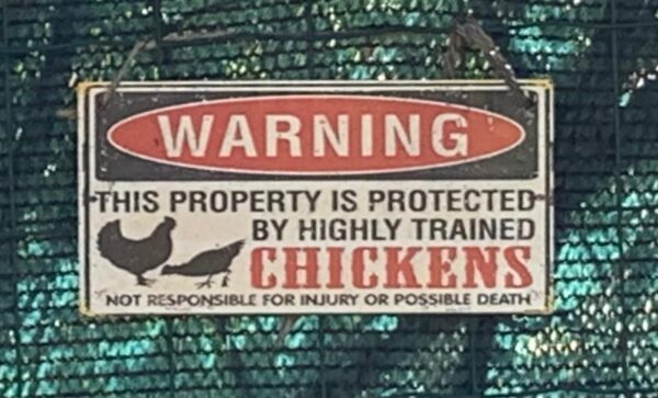 Cartello ironico appeso a una rete: proprietà protetta da galline addestrate