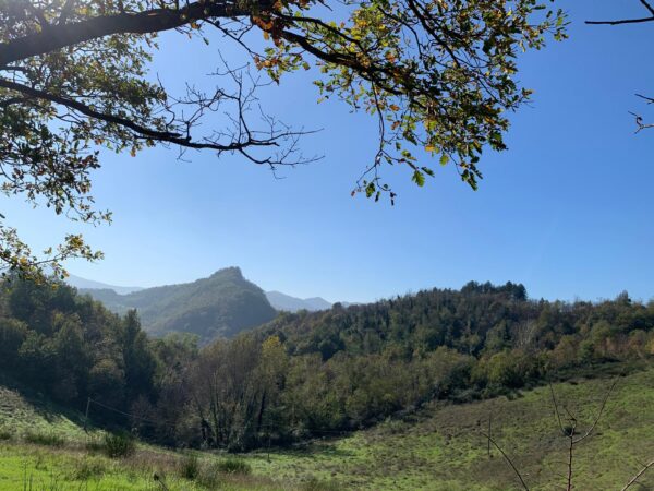 Una guglia di arenaria tra i boschi del Contrafforte Pliocenico, sopra la valle del Reno