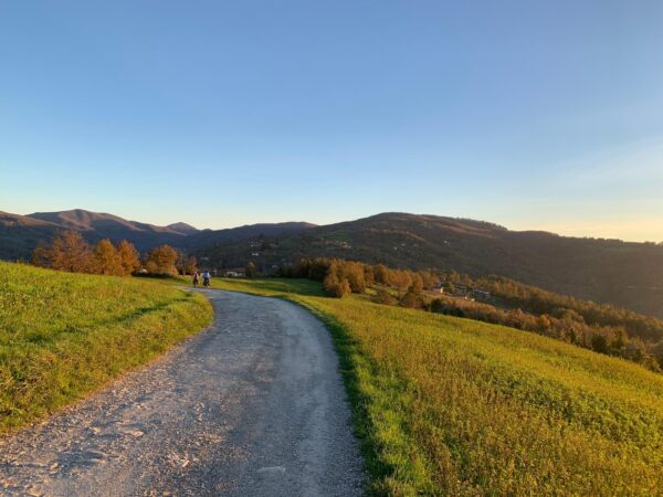Strada bianca tra i prati dorati, con le montagne al tramonto